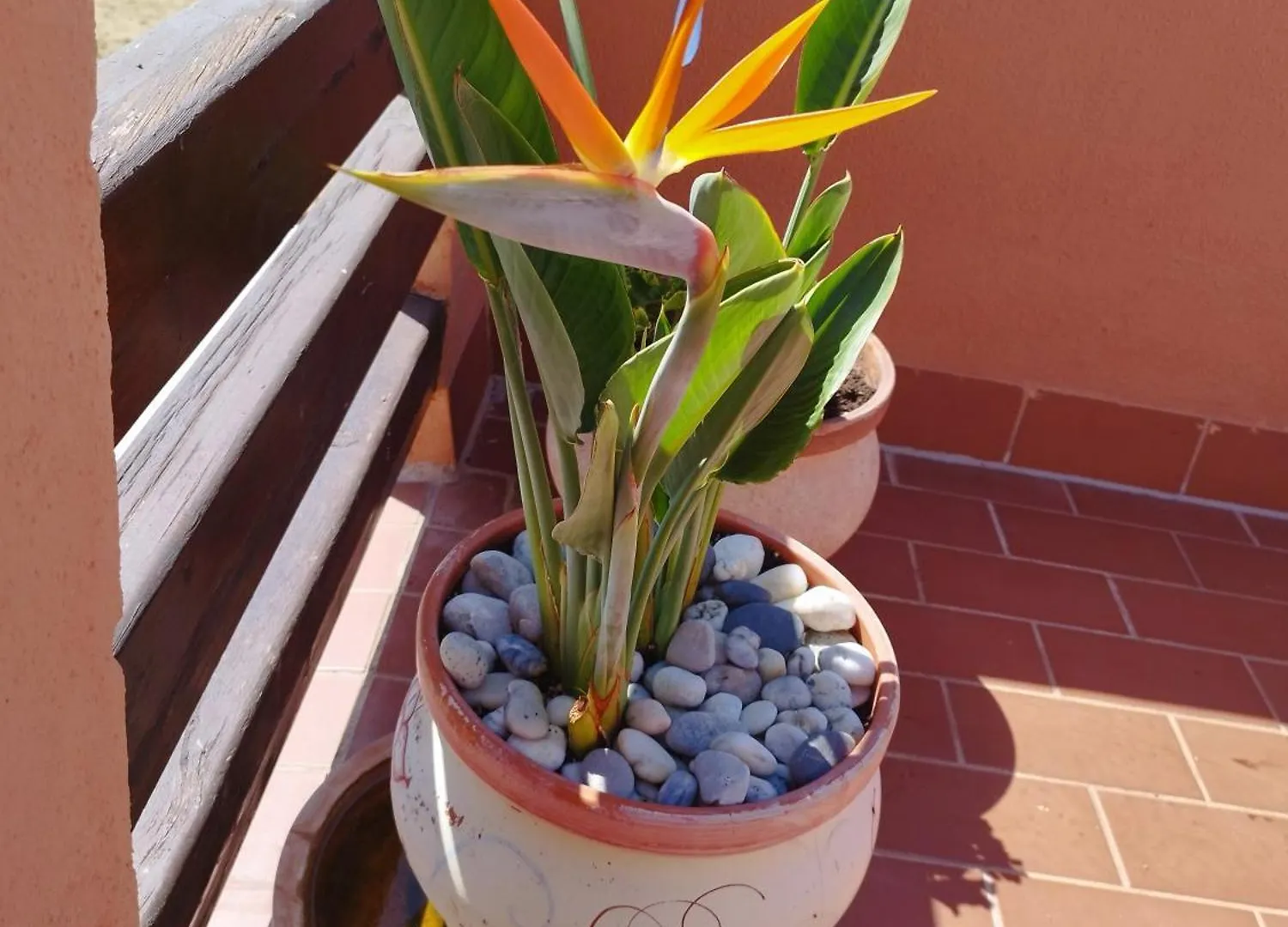 Vakantiehuis Atico Duplex De Lujo- Casares Costa- Costa Del Sol Villa